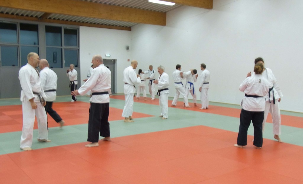 ju-jutsu-fortgeschrittenengruppe-2